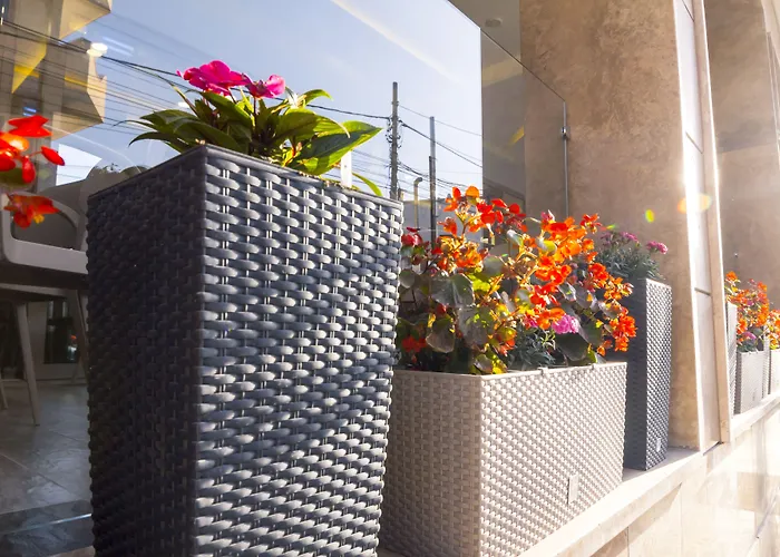 Pandora 3* 地拉那