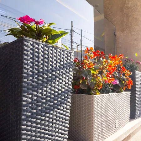 Pandora 3* Тирана